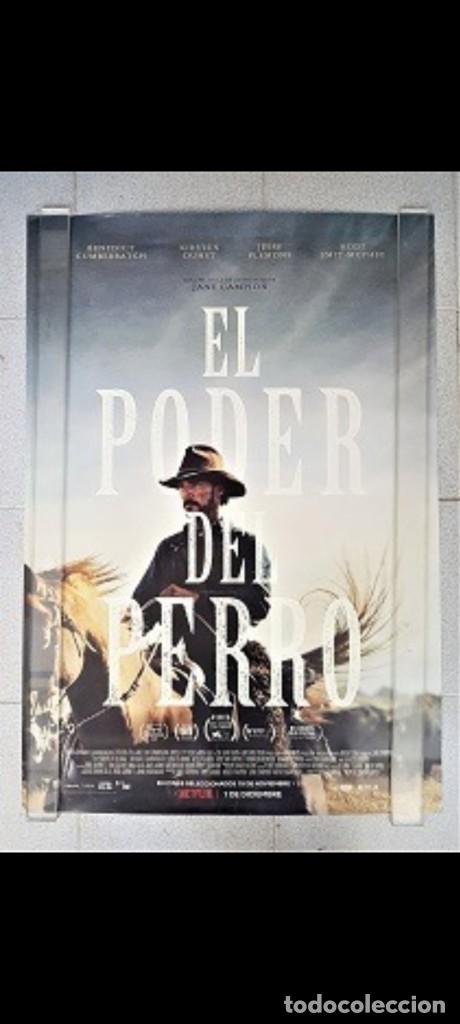 Cine: P&oacute;ster El poder del Perro - Foto 1