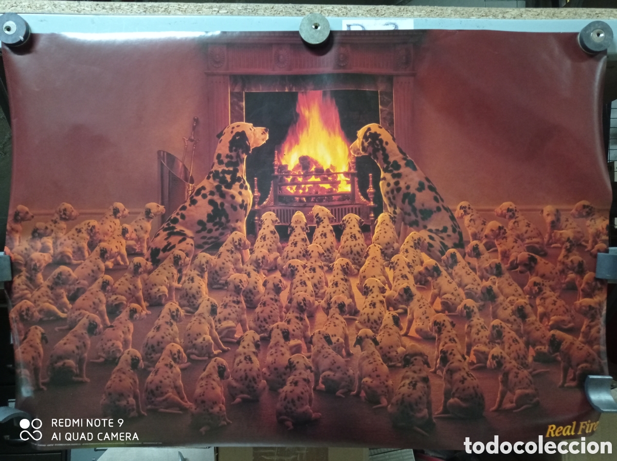 Cinema: Poster de 1990 Dalmatians, 101 D&aacute;lmatas. Real fire. Nuevo sin uso.