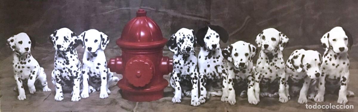 Cine: Poster Perritos D&aacute;lmatas - Foto 1