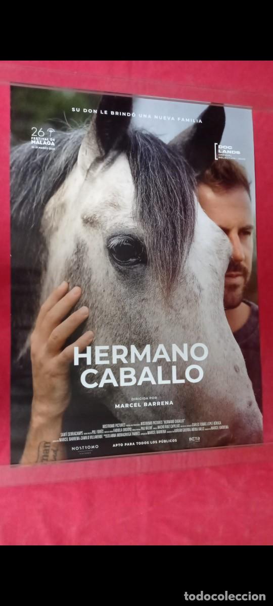 Cine: P&oacute;ster Hermano Caballo - Foto 1
