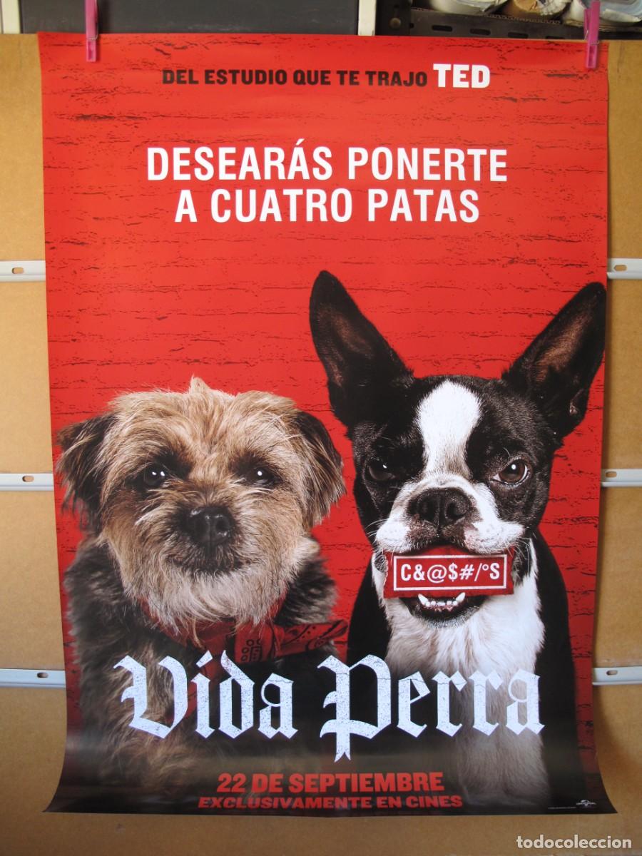 Cine: VIDA PERRA - Foto 1