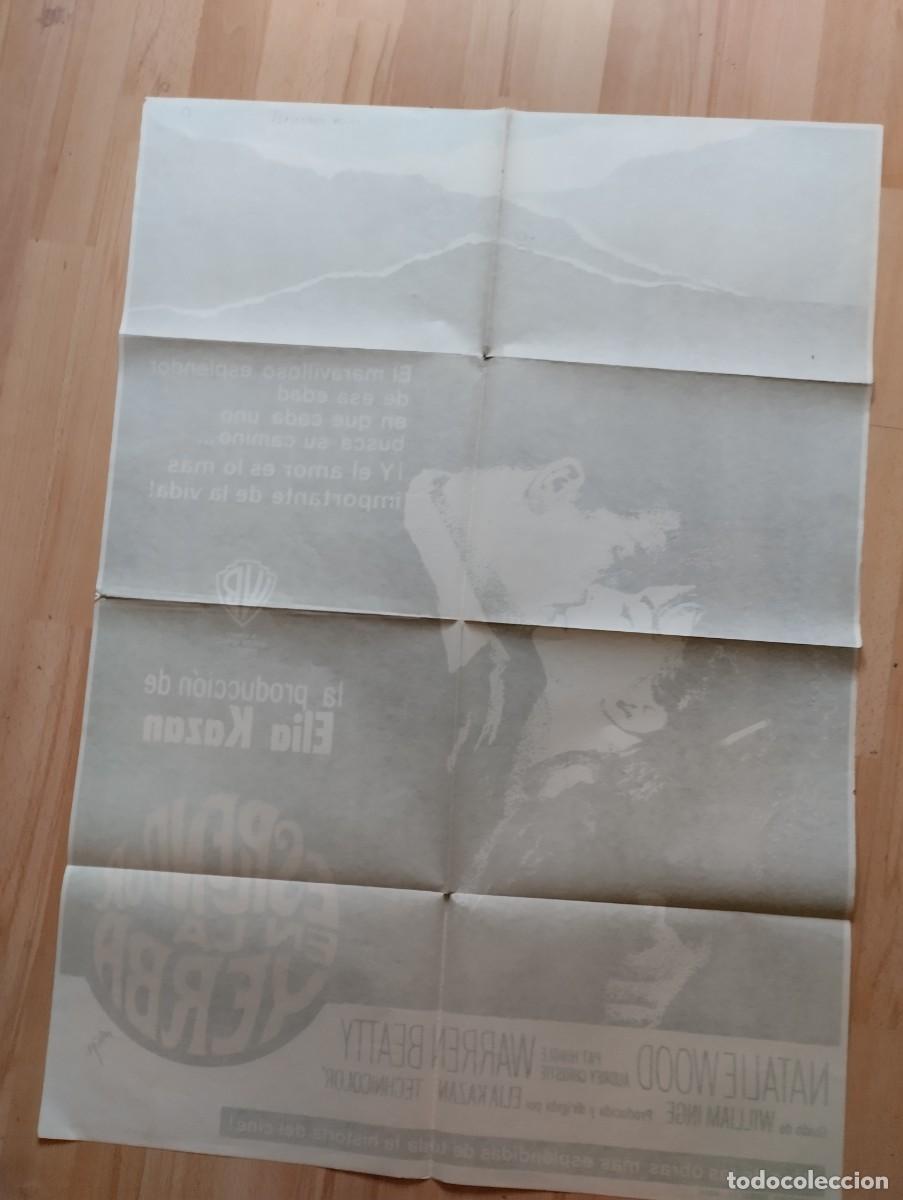 Cine: poster de la pelicula..esplendor en la yerba - Foto 2