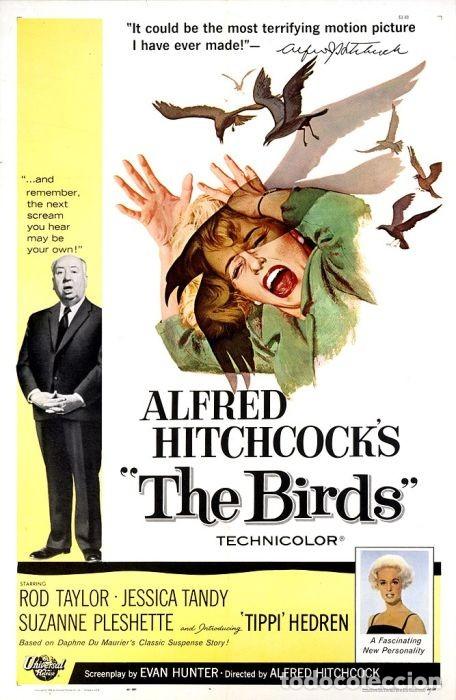 Cine: LOS PAJAROS POSTER - Foto 1