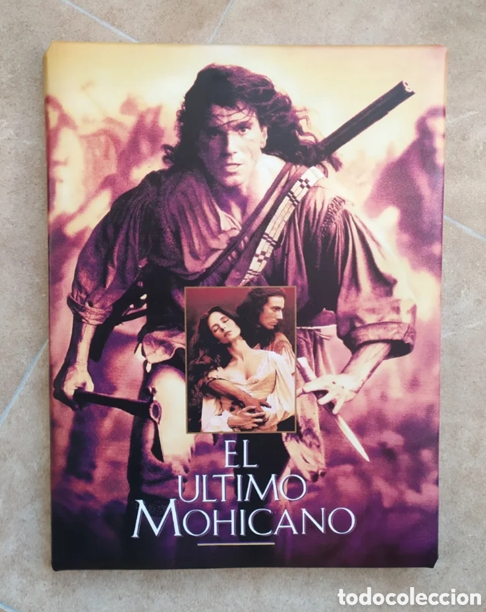 Cine: Cuadro EL &Uacute;LTIMO MOHICANO - Foto 1