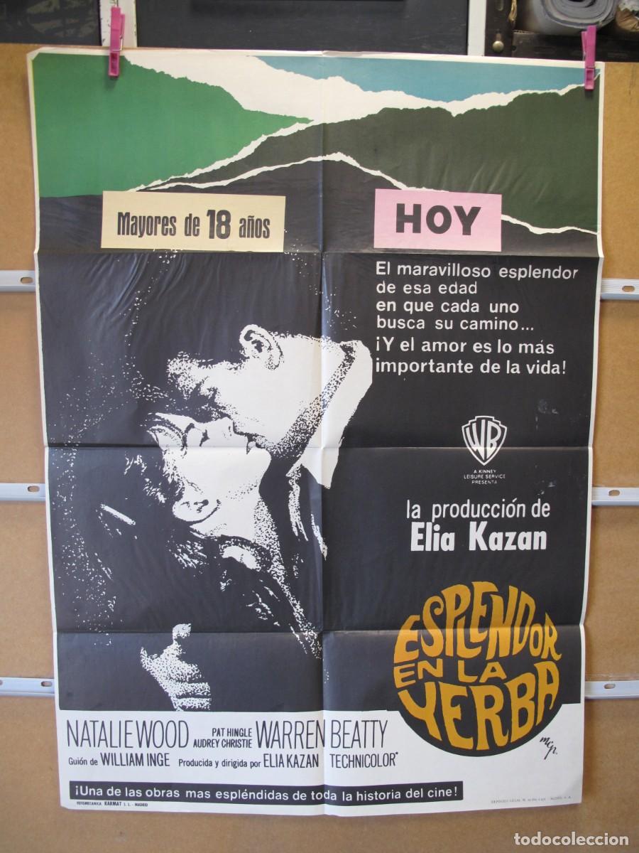Cine: POSTER2315 ESPLENDOR EN LA YERBA - Foto 1