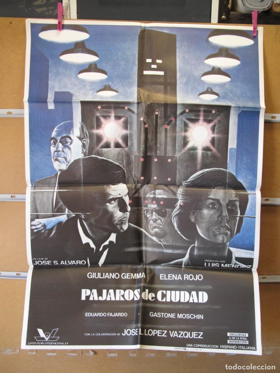 Cine: POSTER2433 PAJAROS DE CIUDAD - Foto 1