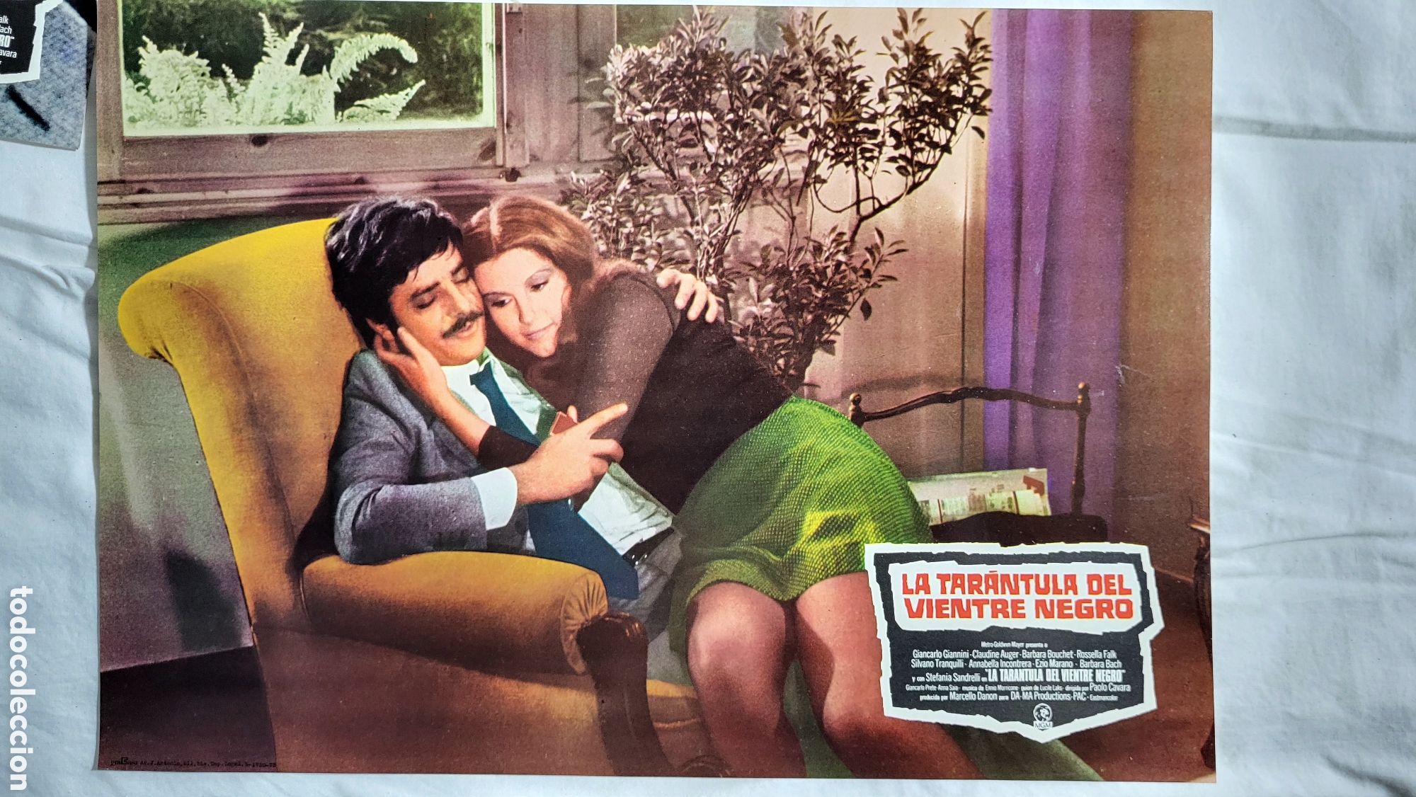 Cinema: Poster pel&iacute;cula La tar&aacute;ntula del vientre negro