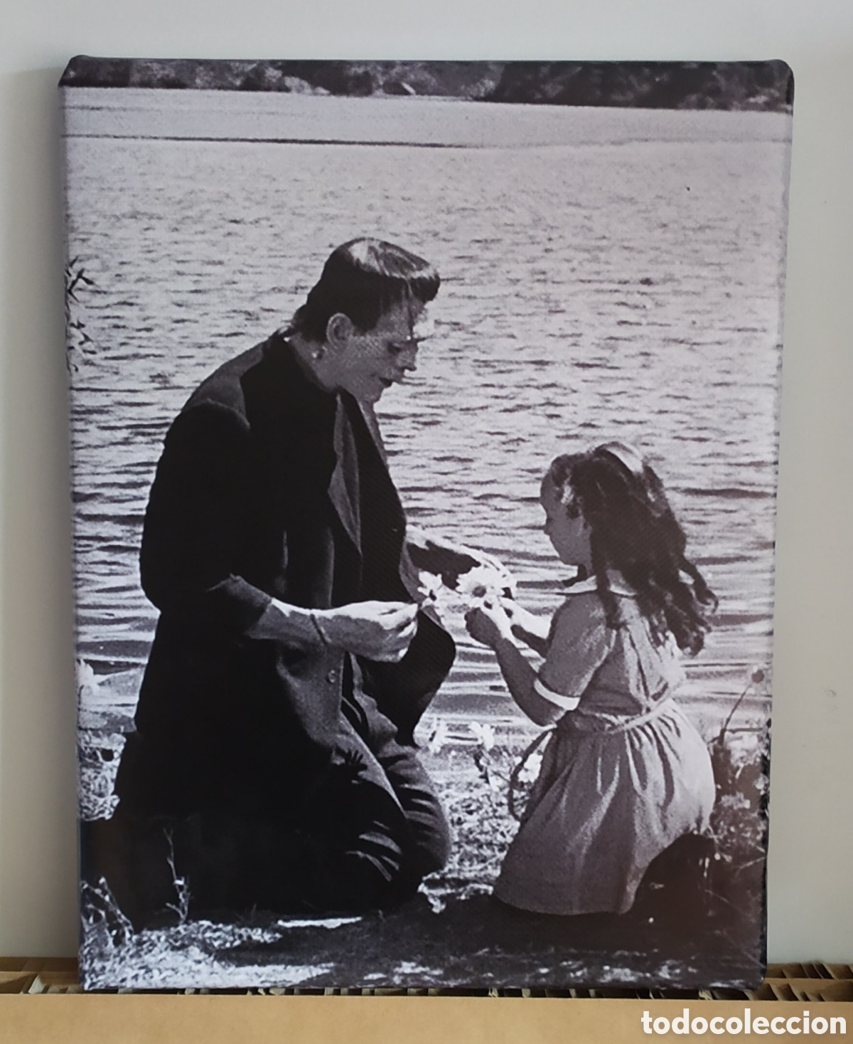 Cine: Cuadro FRANKENSTEIN y la ni&ntilde;a - Foto 1