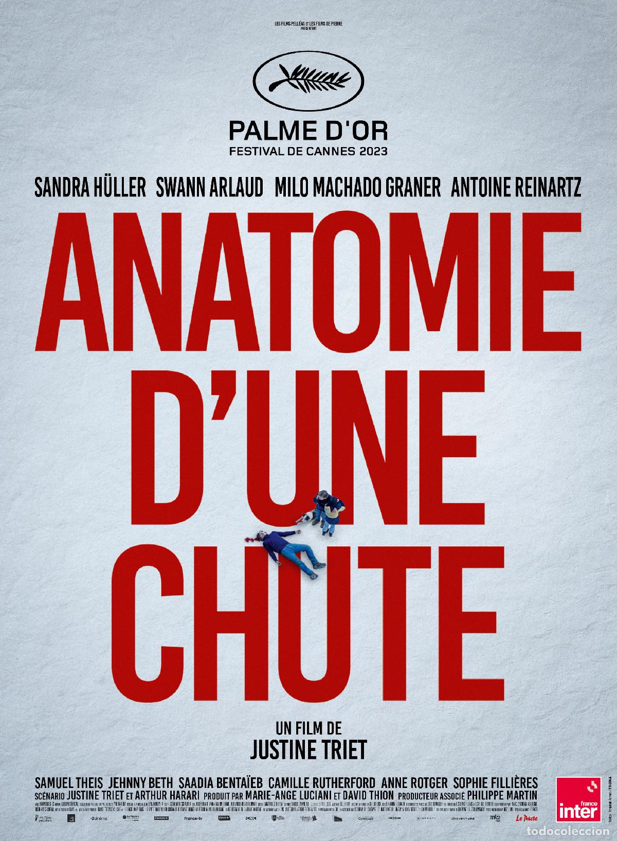 Cine: POSTER ANATOMIA DE UNA CA&Iacute;DA - Foto 1
