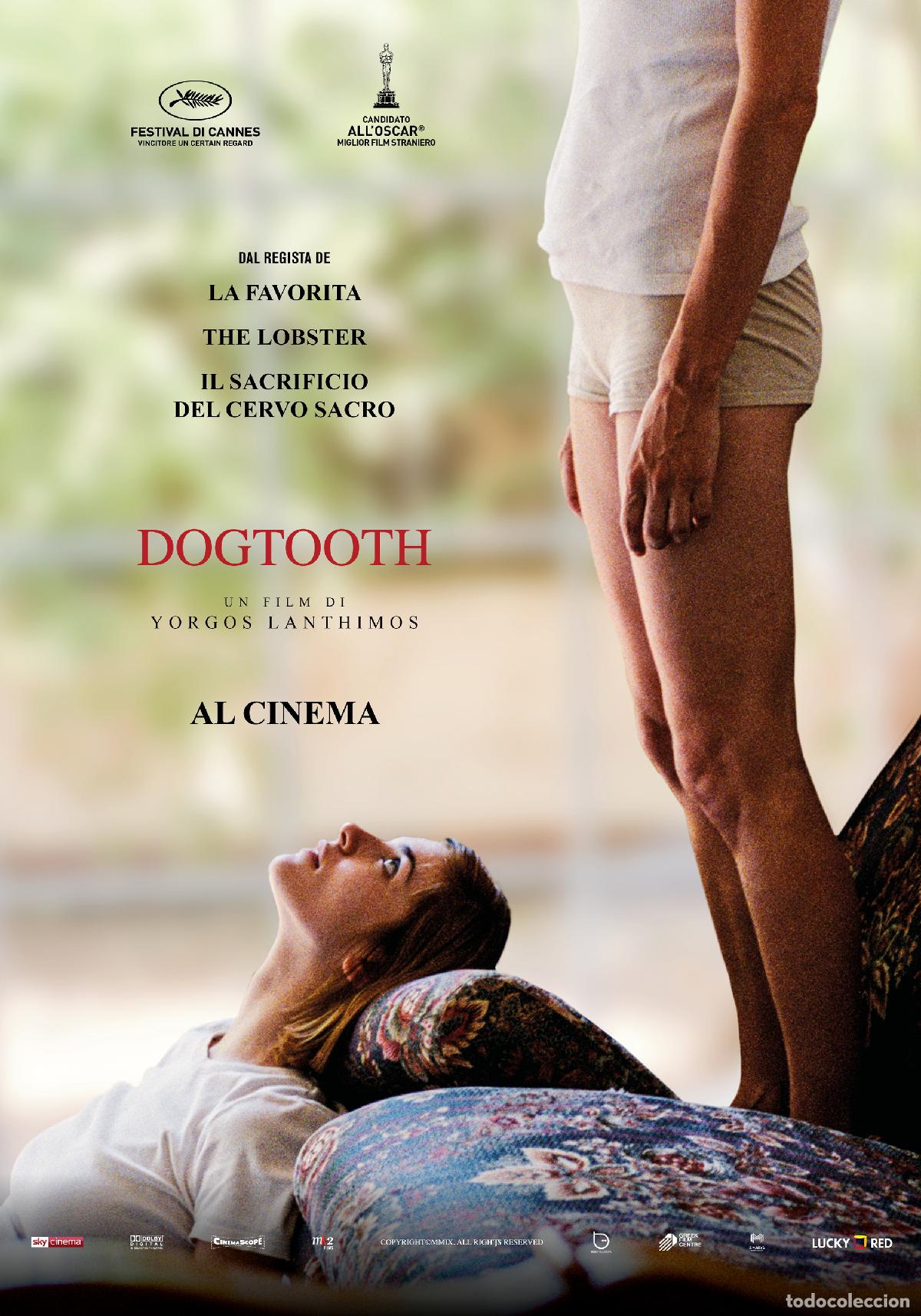 Cine: POSTER DOGTOOTH - Foto 1