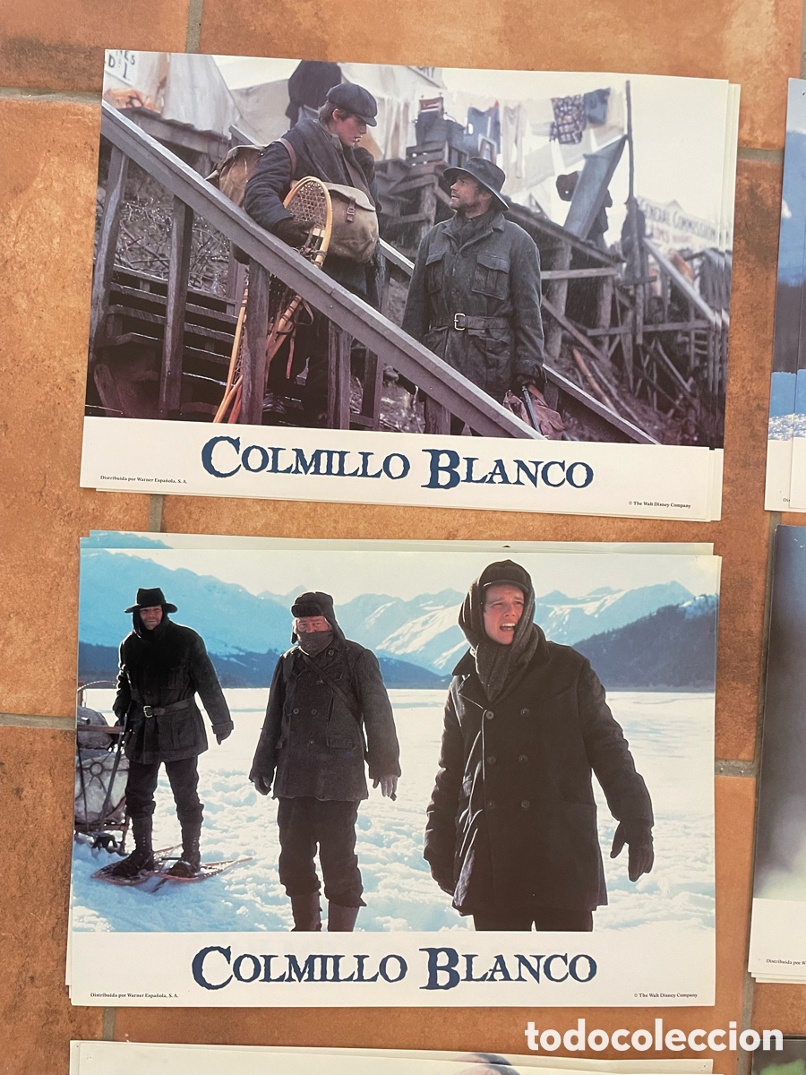 Cine: COLMILLO BLANCO POSTER + FOTOCROMOS - Foto 8