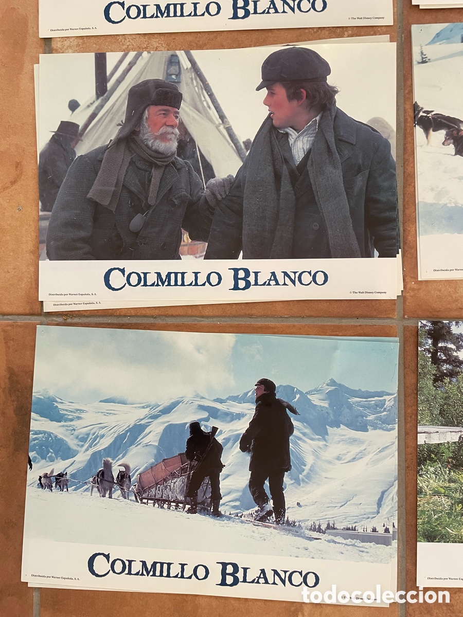 Cine: COLMILLO BLANCO POSTER + FOTOCROMOS - Foto 9
