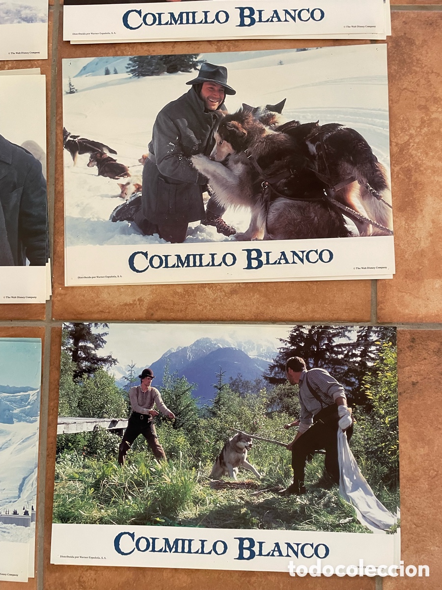 Cine: COLMILLO BLANCO POSTER + FOTOCROMOS - Foto 10