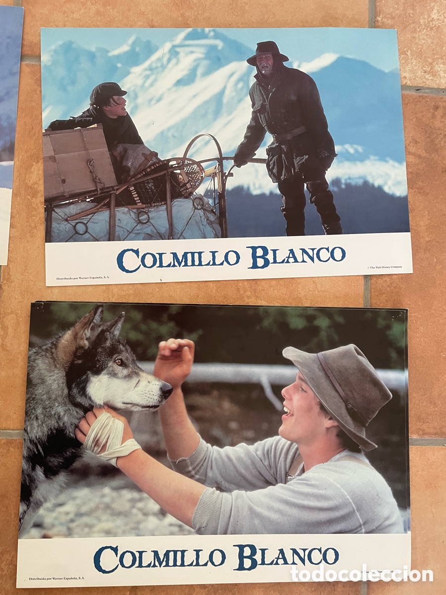 Cine: COLMILLO BLANCO POSTER + FOTOCROMOS - Foto 12