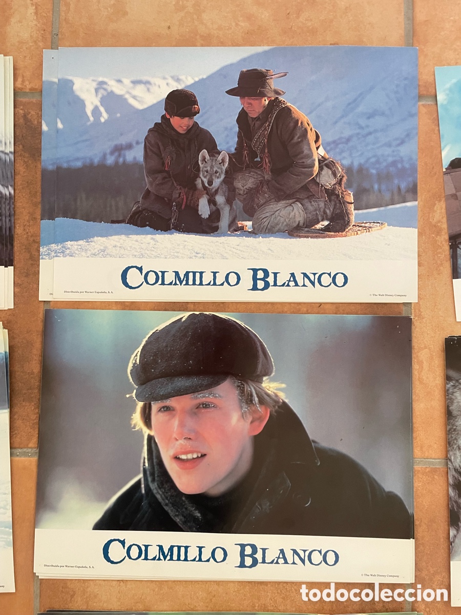 Cine: COLMILLO BLANCO POSTER + FOTOCROMOS - Foto 13