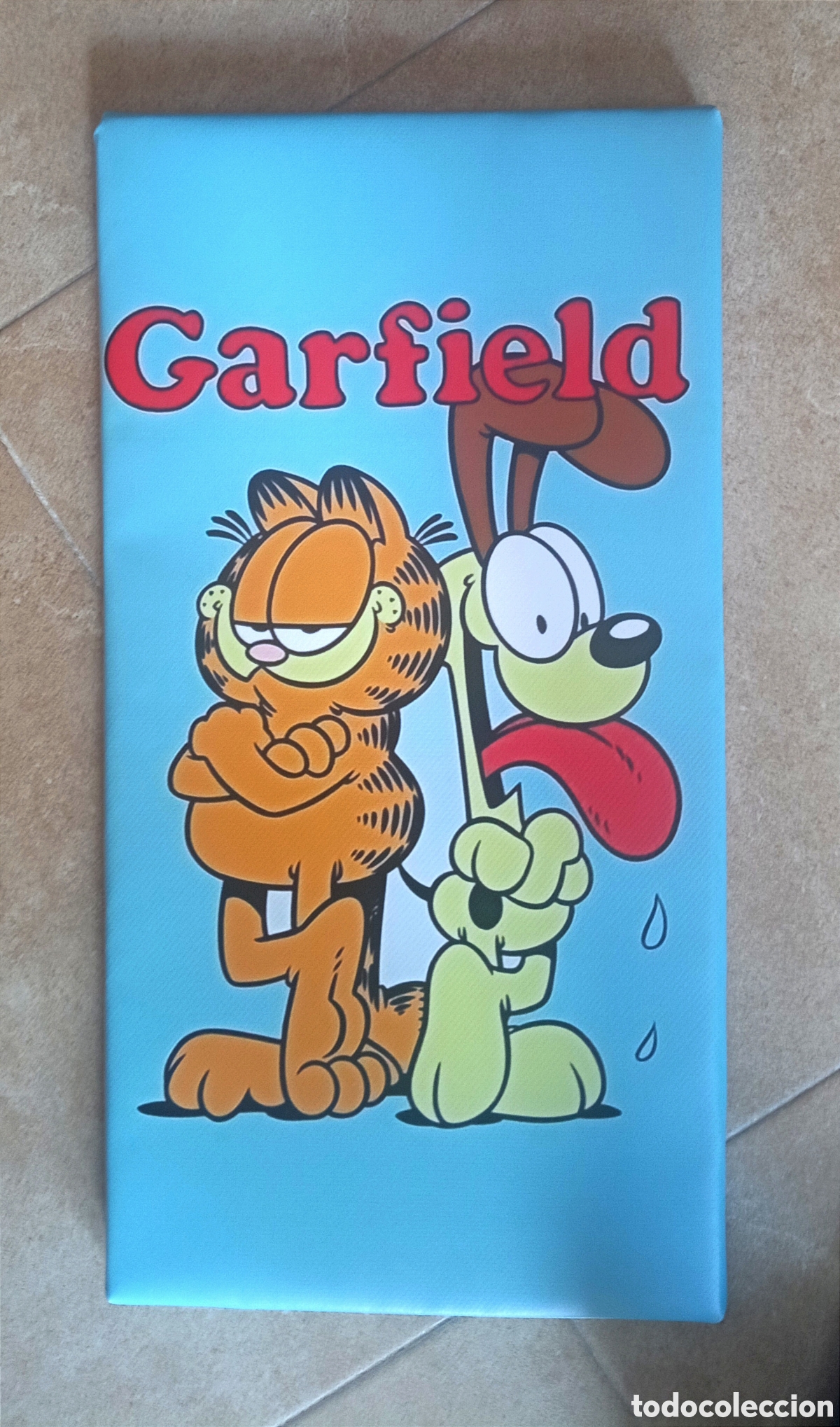 Cine: Cuadro cartel GARFIELD - Foto 1