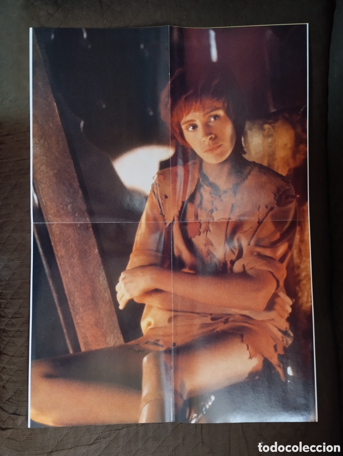 Kino: Poster de la actriz Julia Roberts.