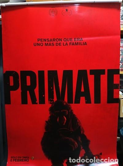 Cine: Primate P&oacute;ster Original 70x100 cm aprox. - Foto 1