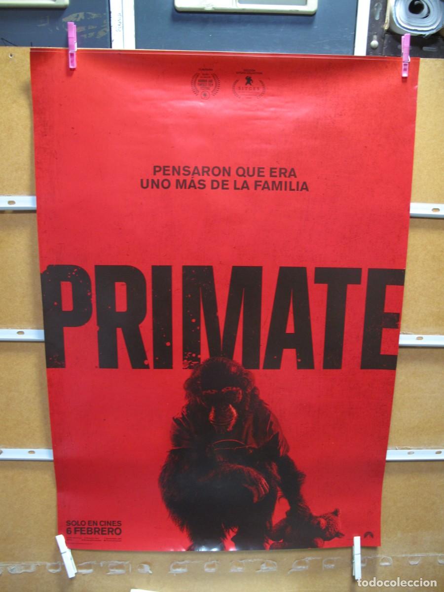 Cine: PRIMATE POSTER ORIGINAL - Foto 1