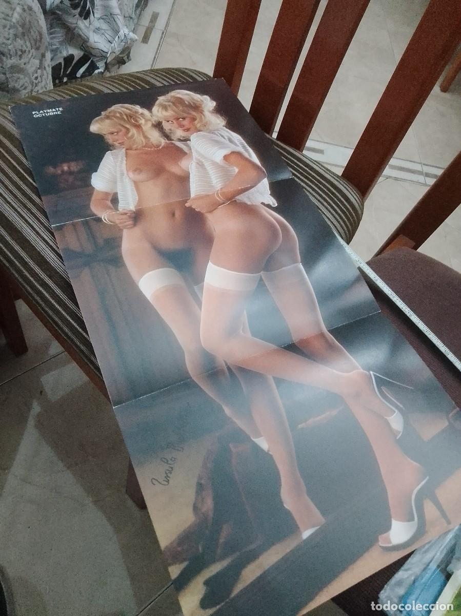Cine: P&oacute;ster playmate 54 cent&iacute;metros - Foto 1