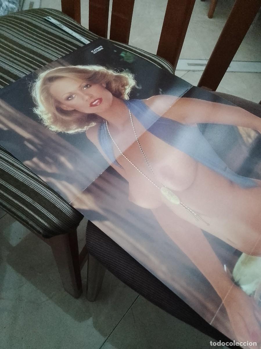 Cine: P&oacute;ster playmate 54 cent&iacute;metros - Foto 3