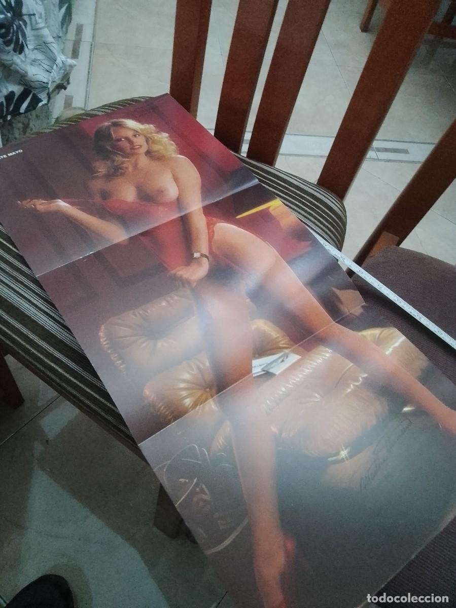 Cine: Playmate 54 cent&iacute;metros p&oacute;ster - Foto 1