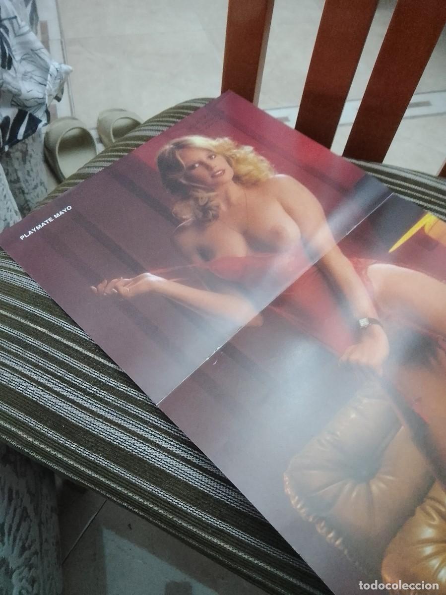 Cine: Playmate 54 cent&iacute;metros p&oacute;ster - Foto 3
