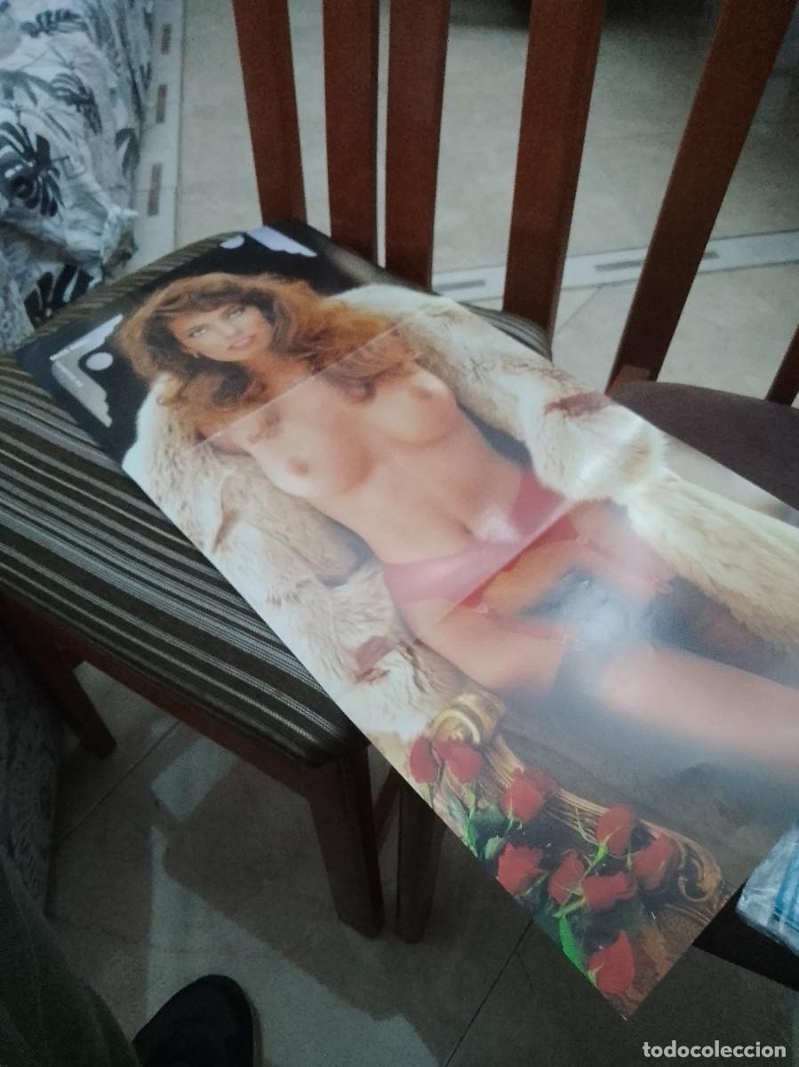 Cine: Playmate 54 cent&iacute;metros p&oacute;ster - Foto 1