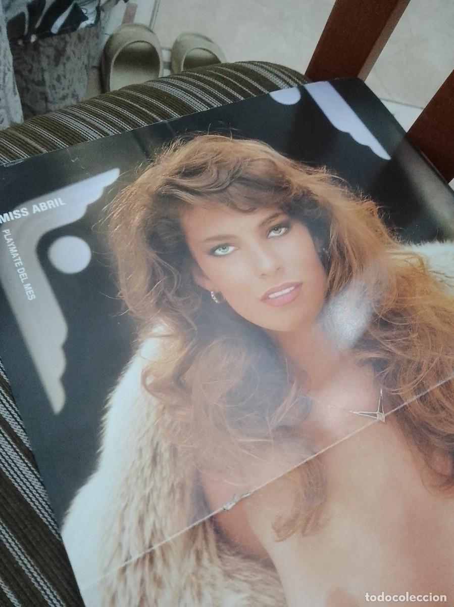Cine: Playmate 54 cent&iacute;metros p&oacute;ster - Foto 2