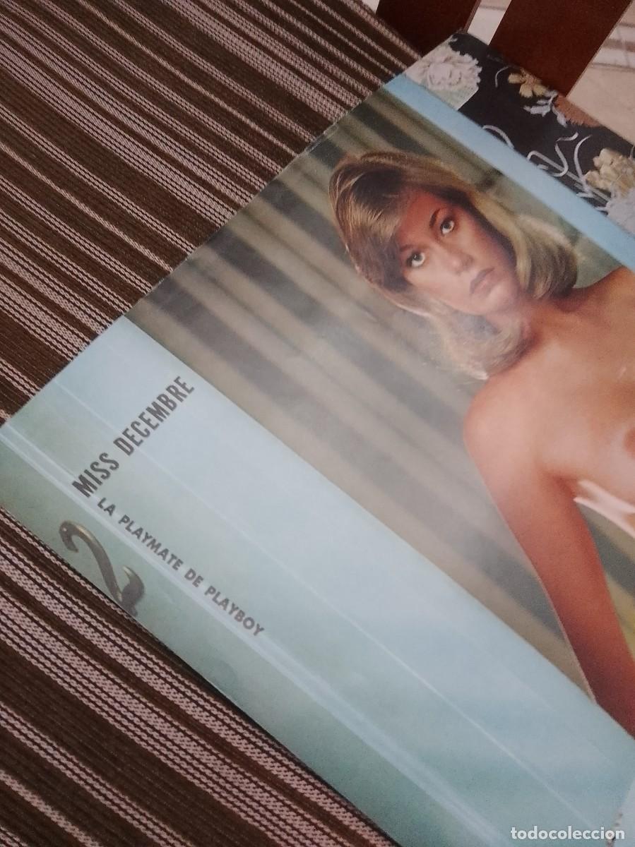 Cine: Playmate 54 cent&iacute;metros p&oacute;ster - Foto 2