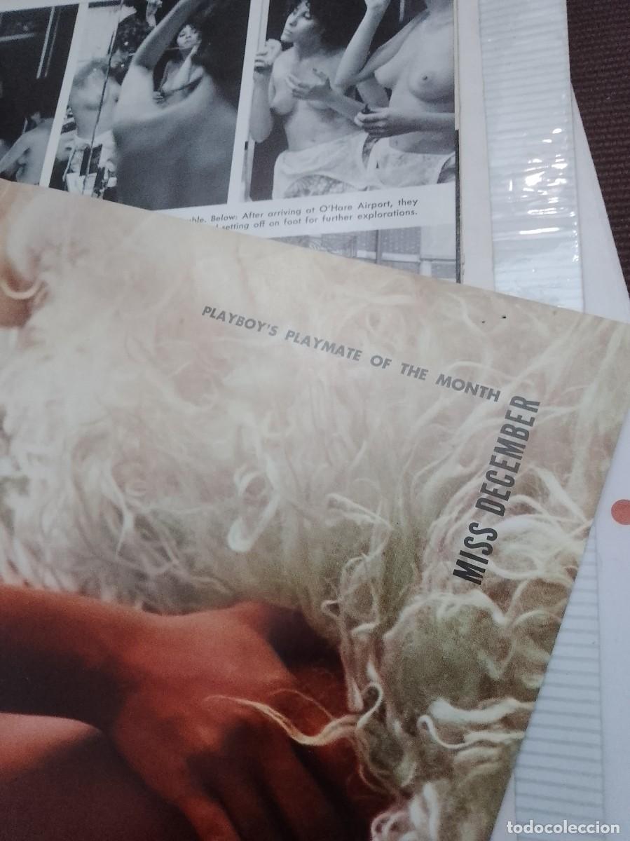 Cine: Playboy s playmate 54 cent&iacute;metros - Foto 4