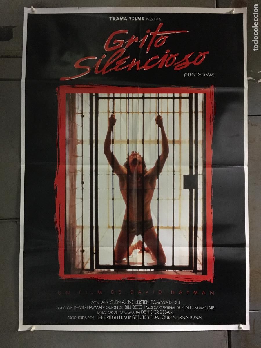 Cine: AEX02 GRITO SILENCIOSO ROBERT CARLYLE POSTER ORIGINAL 70X100 ESTRENO h0