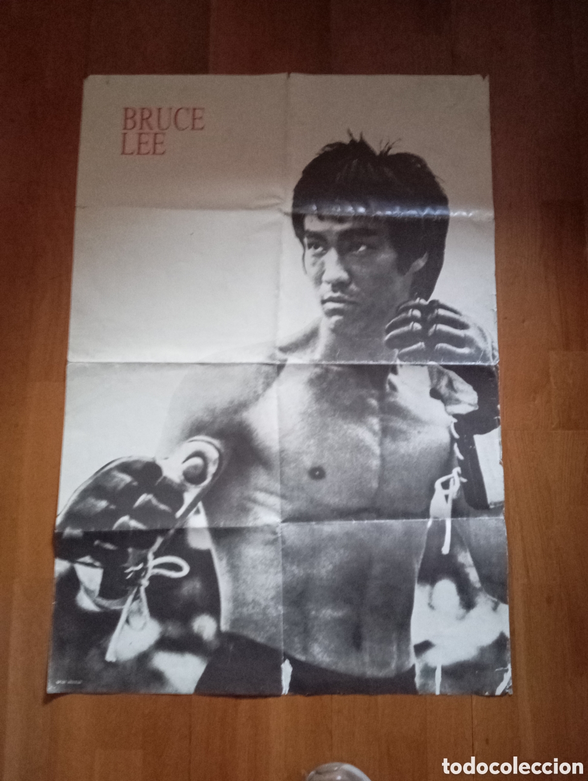 Cine: Bruce lee p&oacute;ster gigante 68x99