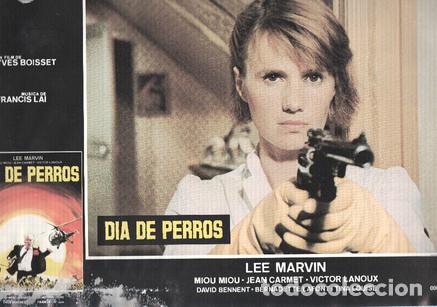 Cinema: Caratula de cine: DIA DE PERROS / Canicule,Dog Day (numerado 03 en trasera) - Yves Boisset
