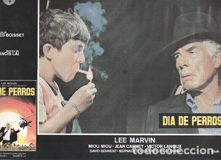 Cinema: Caratula de cine: DIA DE PERROS / Canicule,Dog Day (numerado 11 en trasera) - Yves Boisset