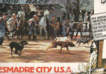Cinema: Caratula de cine: DESMADRE CITY U.S.A / Soggy Bottom USA, (numerado 02 en trasera) - Ted Flicker