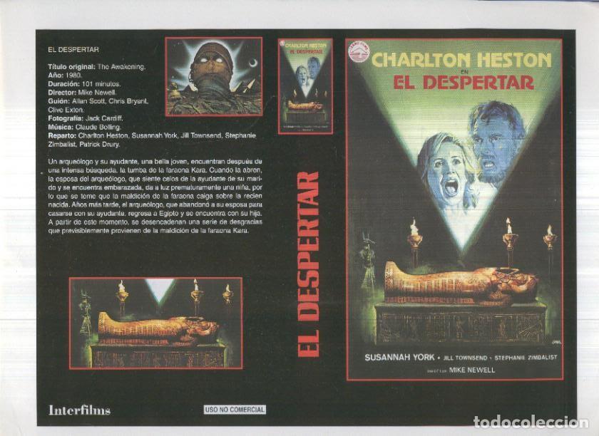 Cinema: Caratula cine 30x22 cm: El despertar y La dolce vita - Varios