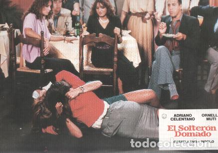 Cinema: Caratula de cine: EL SOLTERON DOMADO / Il bisbetico domato (numerado 01 en trasera) - Franco Castell