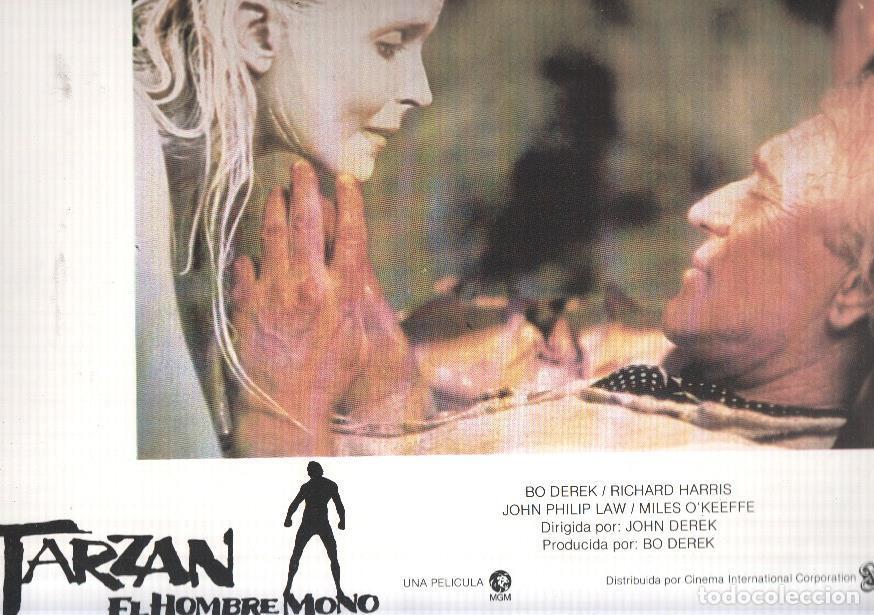 Kino: Caratula de cine: TARZAN: EL HOMBRE MONO / Tarzan: The Ape Man, (numerado 08 en trasera) - John Dere