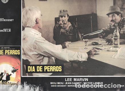 Cin&eacute;ma: Caratula de cine: DIA DE PERROS / Canicule,Dog Day (numerado 12 en trasera) - Yves Boisset