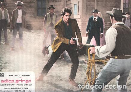 Cinema: Caratula de cine: ADIOS GRINGO / Adios gringo (numerado 06 en trasera) - Giorgio Stegani