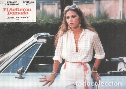 Cinema: Caratula de cine: EL SOLTERON DOMADO / Il bisbetico domato (numerado 03 en trasera) - Franco Castell