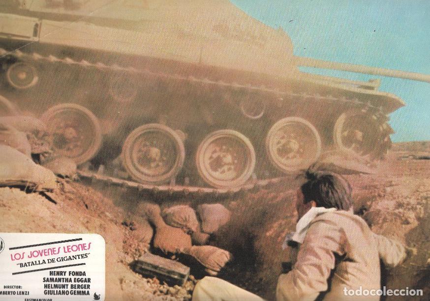 Cinema: Caratula de cine: Los Jovenes Leones: Batalla de gigantes, (numerado 3 en trasera) - HUMBERTO LENZI