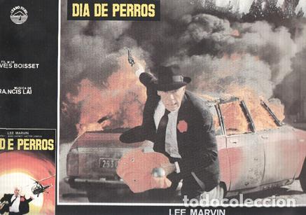 Cin&eacute;ma: Caratula de cine: DIA DE PERROS / Canicule,Dog Day (numerado 04 en trasera) - Yves Boisset