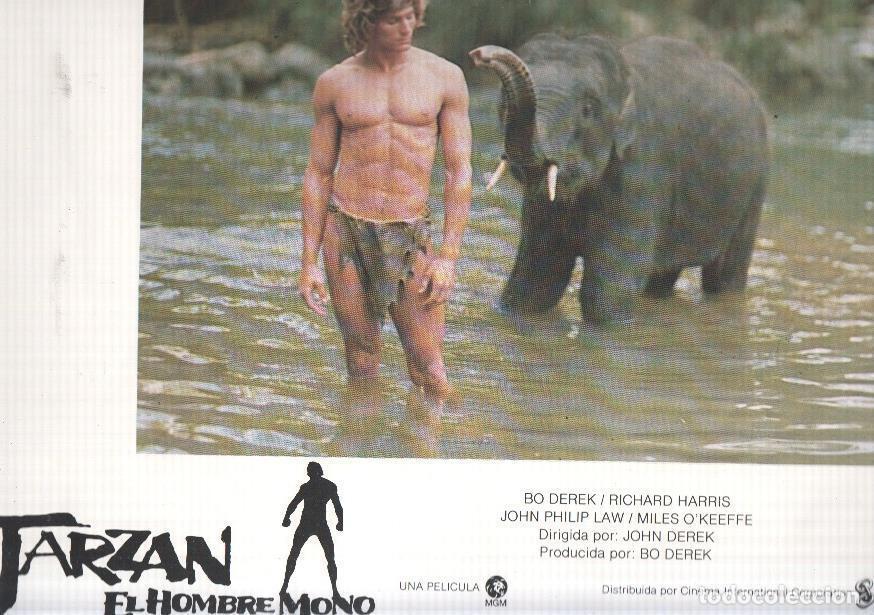 Cin&eacute;ma: Caratula de cine: TARZAN: EL HOMBRE MONO / Tarzan: The Ape Man, (numerado 06 en trasera) - John Dere