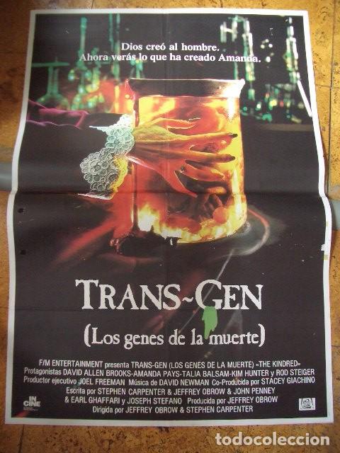 Cine: POSTER ORIGINAL DE CINE 70X100CM Trans-Gen, los genes de la muerte. Amanda Pays, David Allen