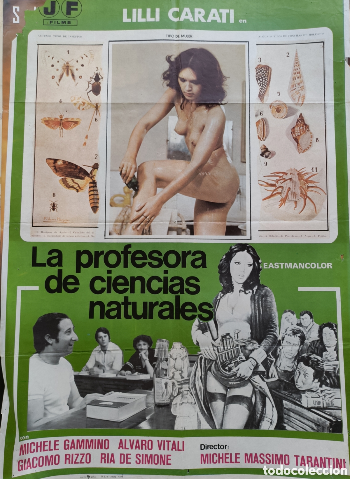 Cine: Cartel de cine. La profesora de ciencias naturales. Lilli Carati
