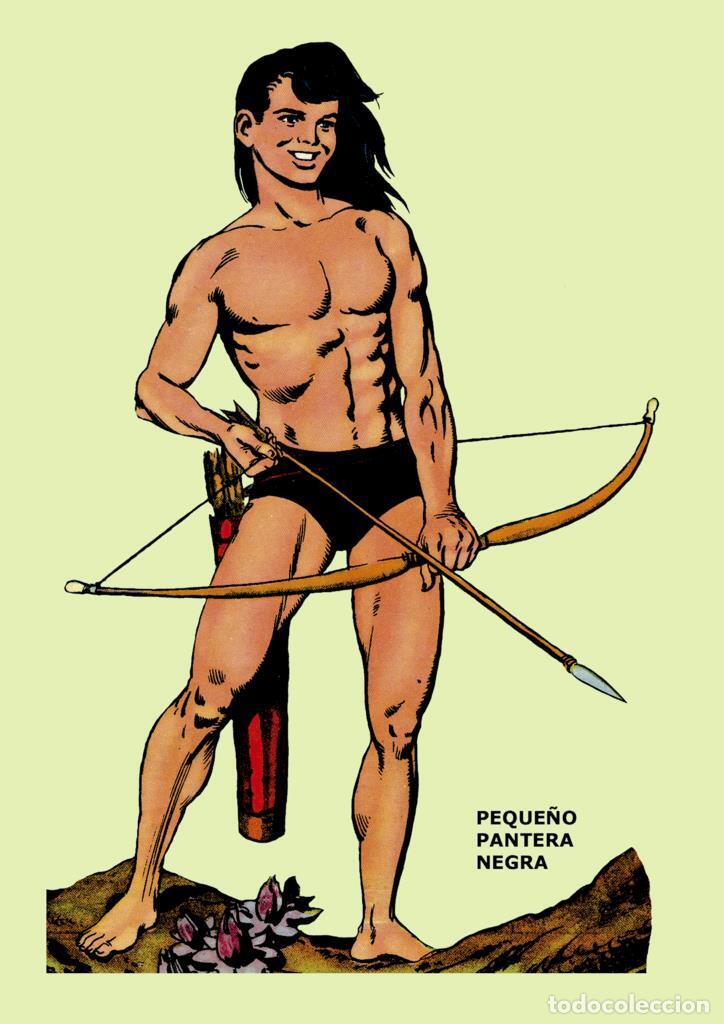 Kino: Poster DIN 4 numero 0299: Peque&ntilde;o Pantera Negra de Miguel Quesada, serie Pantera Negra