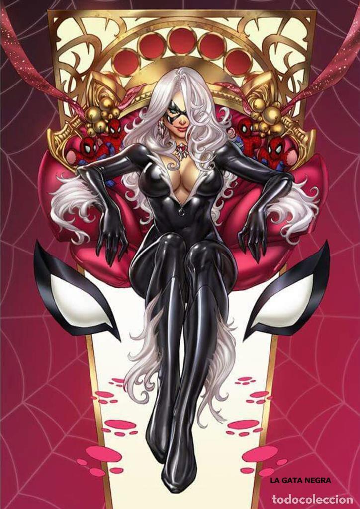 Kino: Poster DIN 4 numero 0138: La Gata Negra, serie superheroes