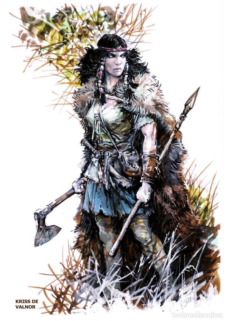 Cin&eacute;ma: Poster DIN 4 numero 0384: Thorgal: Kriss de Valnor